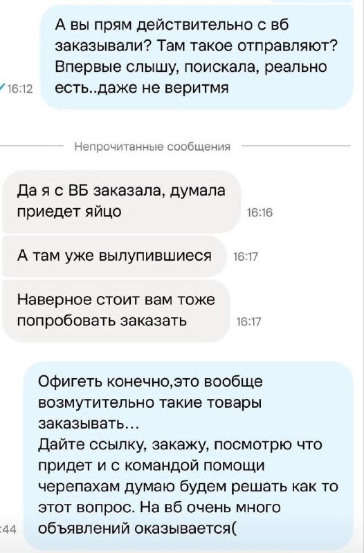 Черепашьи яйца продают на маркетплейсах: многие черепашки успевают вылупиться во время доставки и погибаютСеллеры создают десятки дублирующих карточек, маскируя рептилий под сувениры, но при этом прикладывают инструкции по инкубации
